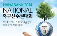 하나은행 2014 내셔널축구선수권대회